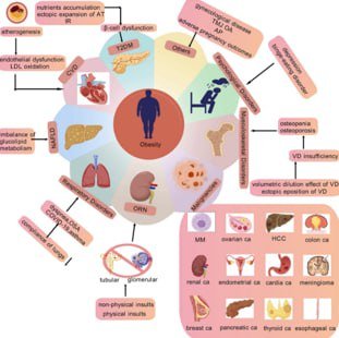 Duis aliquip et omni